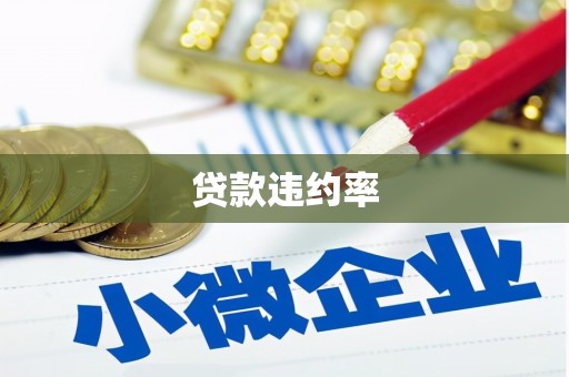 龙陵贷款违约率