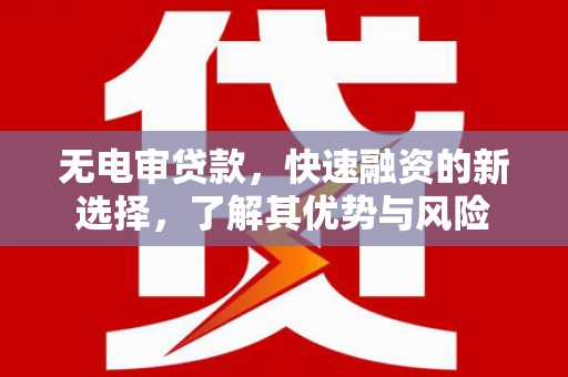 龙陵无电审贷款，快速融资的新选择，了解其优势与风险