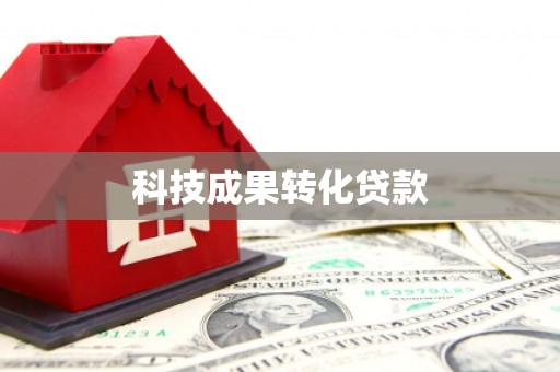 龙陵科技成果转化贷款