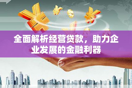 龙陵全面解析经营贷款，助力企业发展的金融利器