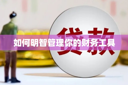 龙陵如何明智管理你的财务工具