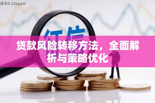 龙陵贷款风险转移方法，全面解析与策略优化