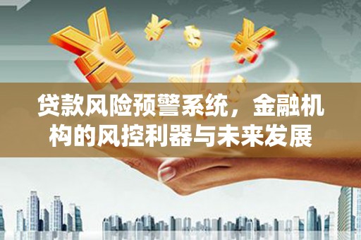 龙陵贷款风险预警系统，金融机构的风控利器与未来发展