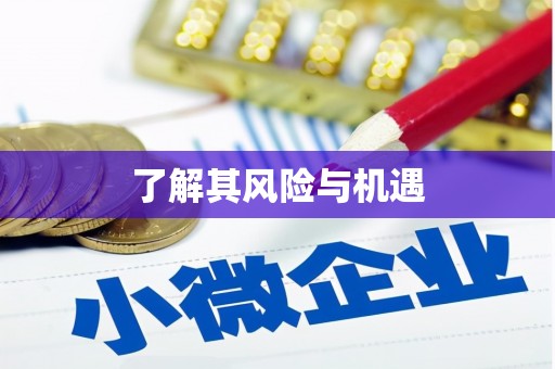 龙陵了解其风险与机遇
