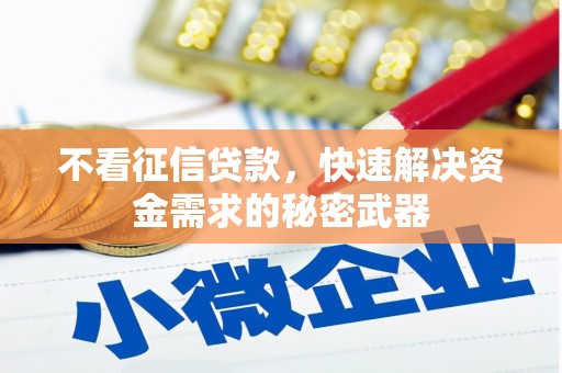 龙陵不看征信贷款，快速解决资金需求的秘密武器