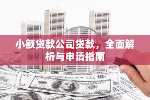 龙陵小额贷款公司贷款，全面解析与申请指南