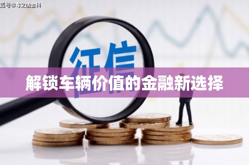 龙陵解锁车辆价值的金融新选择