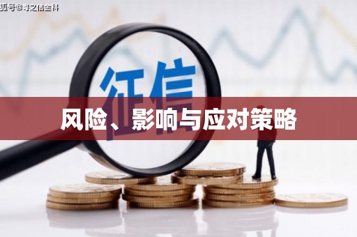 龙陵风险、影响与应对策略