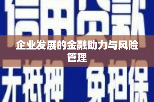 龙陵企业发展的金融助力与风险管理