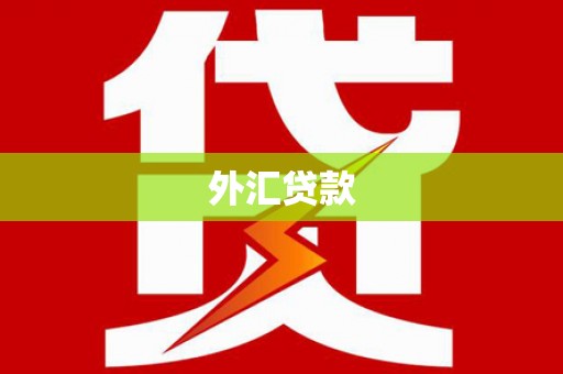 龙陵外汇贷款
