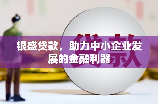 龙陵银盛贷款，助力中小企业发展的金融利器