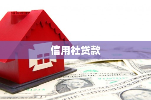 龙陵信用社贷款