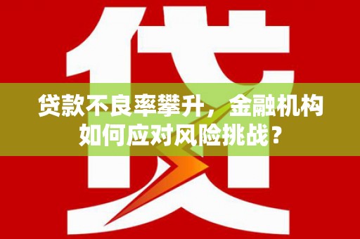龙陵贷款不良率攀升，金融机构如何应对风险挑战？