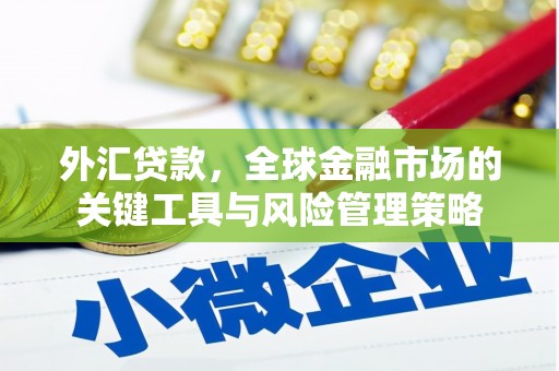 龙陵外汇贷款，全球金融市场的关键工具与风险管理策略
