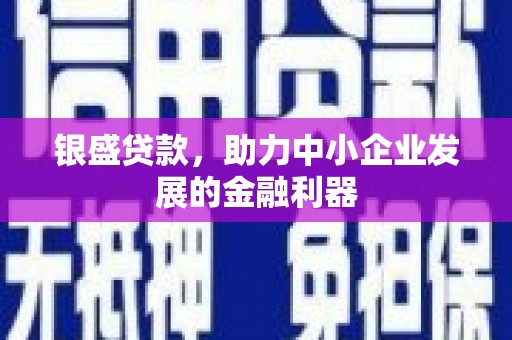 龙陵银盛贷款，助力中小企业发展的金融利器