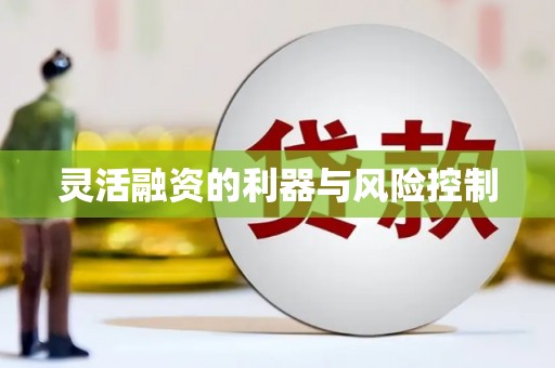 龙陵灵活融资的利器与风险控制