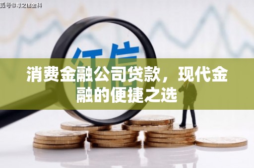 龙陵消费金融公司贷款，现代金融的便捷之选