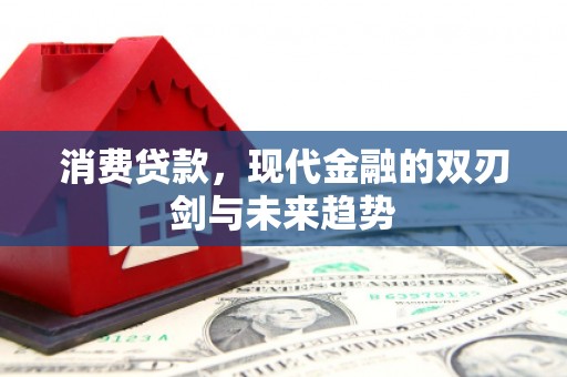 龙陵消费贷款，现代金融的双刃剑与未来趋势