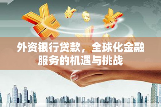 龙陵外资银行贷款，全球化金融服务的机遇与挑战