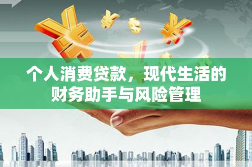 龙陵个人消费贷款，现代生活的财务助手与风险管理