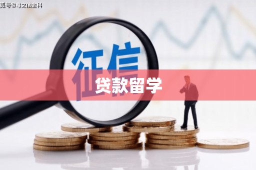 龙陵贷款留学