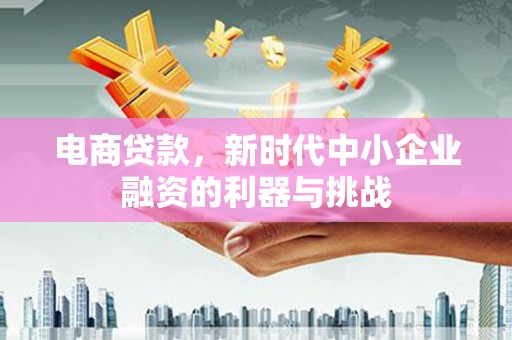 龙陵电商贷款，新时代中小企业融资的利器与挑战