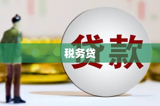 龙陵税务贷