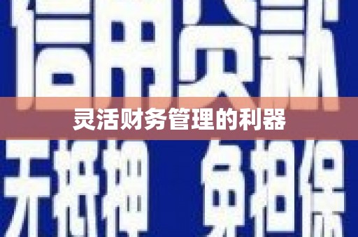 龙陵灵活财务管理的利器