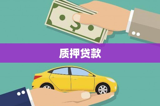龙陵质押贷款