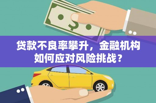 龙陵贷款不良率攀升，金融机构如何应对风险挑战？