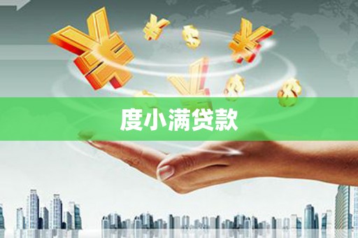 龙陵度小满贷款
