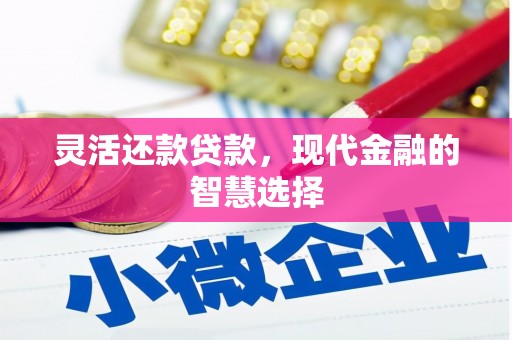 龙陵灵活还款贷款，现代金融的智慧选择