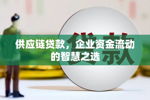 龙陵供应链贷款，企业资金流动的智慧之选