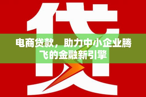 龙陵电商贷款，助力中小企业腾飞的金融新引擎