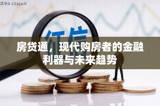 龙陵房贷通，现代购房者的金融利器与未来趋势