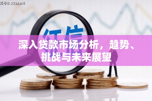 龙陵深入贷款市场分析，趋势、挑战与未来展望