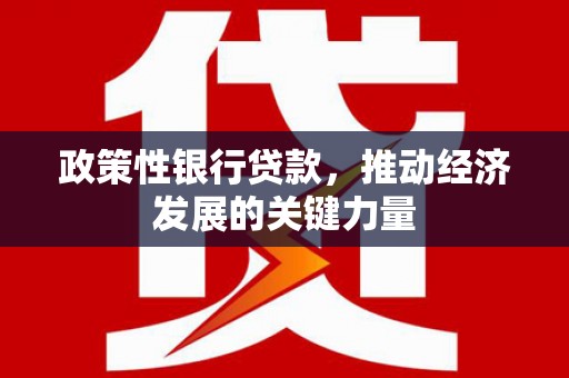 龙陵政策性银行贷款，推动经济发展的关键力量