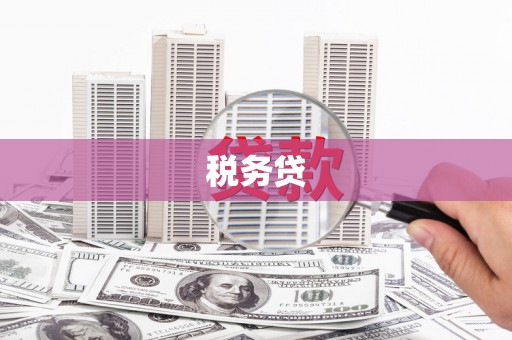 龙陵税务贷