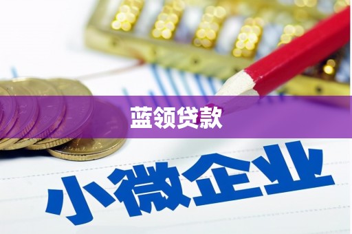 龙陵蓝领贷款