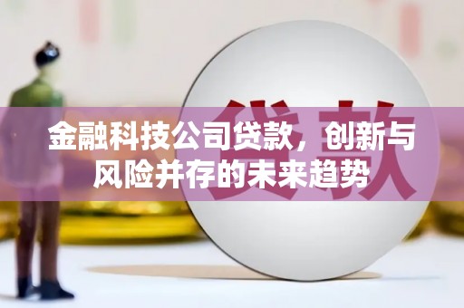 龙陵金融科技公司贷款，创新与风险并存的未来趋势