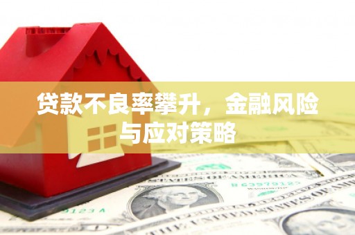 龙陵贷款不良率攀升，金融风险与应对策略