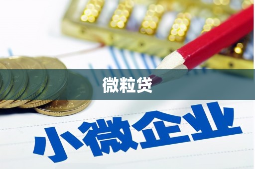 龙陵微粒贷