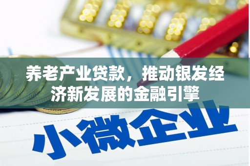 龙陵养老产业贷款，推动银发经济新发展的金融引擎