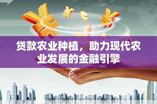 龙陵贷款农业种植，助力现代农业发展的金融引擎
