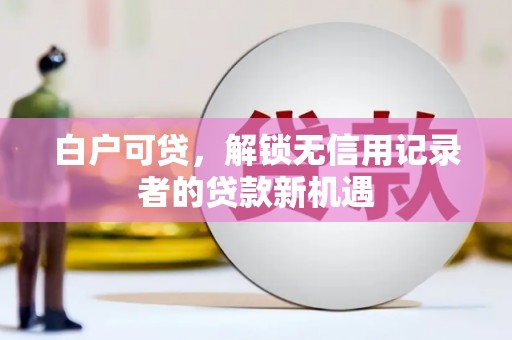 龙陵白户可贷，解锁无信用记录者的贷款新机遇