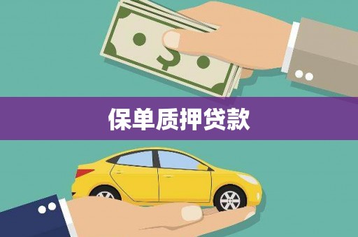 龙陵保单质押贷款