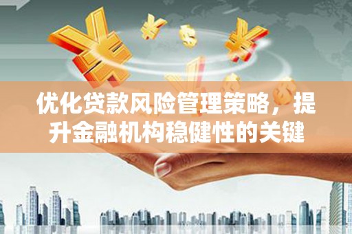龙陵优化贷款风险管理策略，提升金融机构稳健性的关键