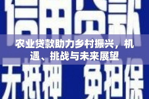 龙陵农业贷款助力乡村振兴，机遇、挑战与未来展望