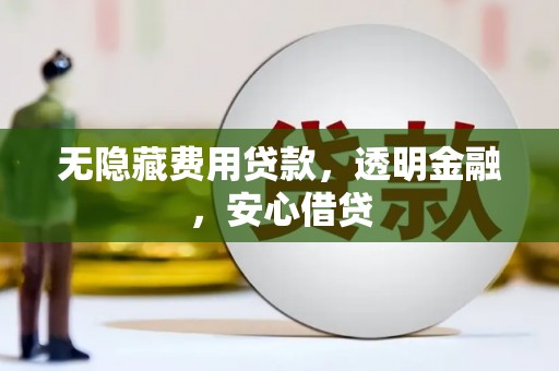 龙陵无隐藏费用贷款，透明金融，安心借贷