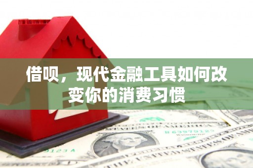 龙陵借呗，现代金融工具如何改变你的消费习惯